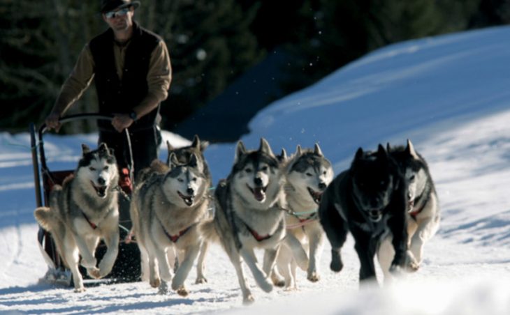Husky sledging is available in Tignes