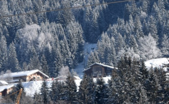 Les Gets Ski Holidays