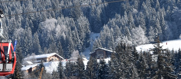 Les Gets Ski Holidays