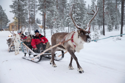 Sleigh Ride