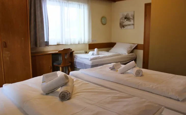 Chalet Sonnwend - 10