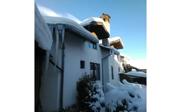 Snow Pine Chalet - 1