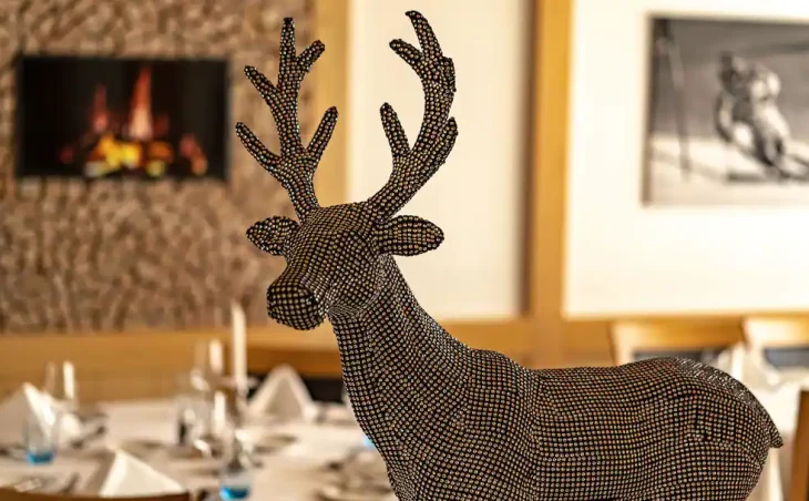Sunstar Hotel Wengen - 10