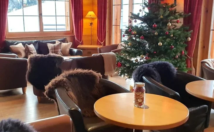 Chalet Mountain Lodge - 17
