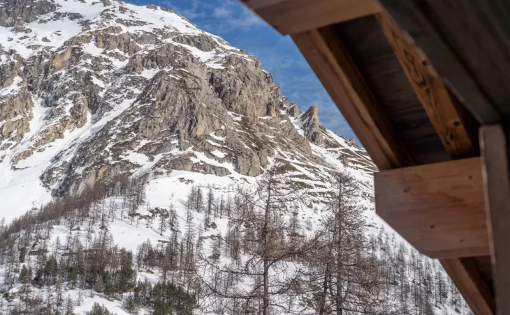 Chalet Arda - 10