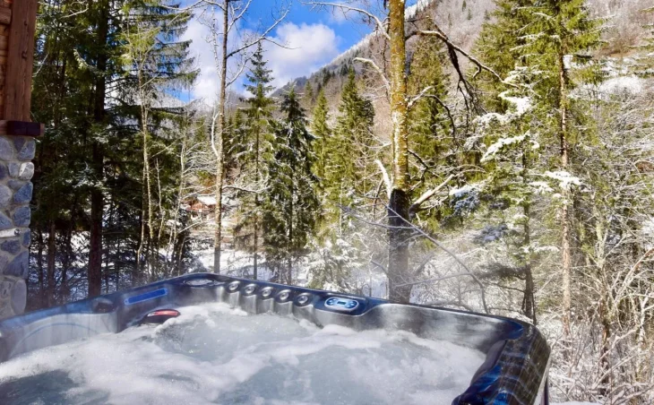 Forest Lodge – Summer - 3