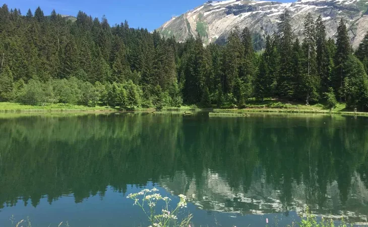 Chalet Ibex – Summer - 10