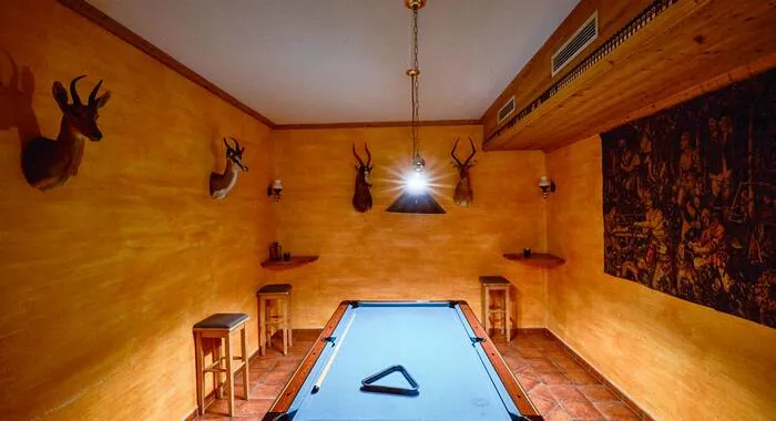 Hotel Kirchboden - 10