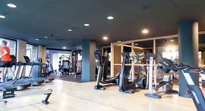 Park Piolets Mountain Hotel & Spa - 4
