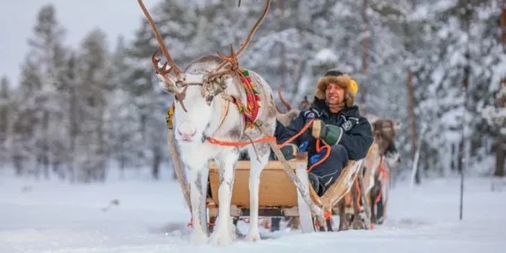 Harriniva Adventure Resort (Santa Break) - 29