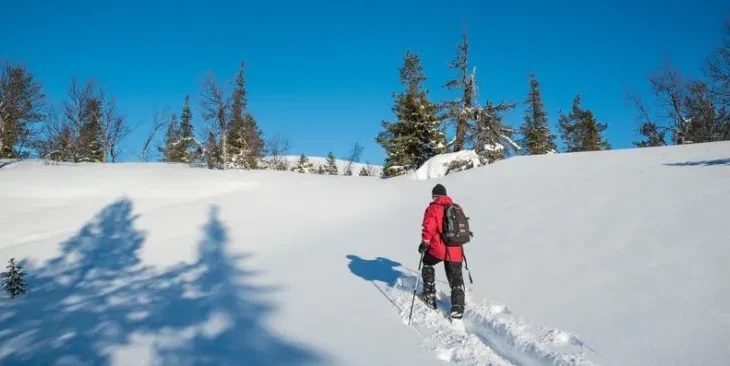 Harriniva Adventure Resort (Santa Break) - 8