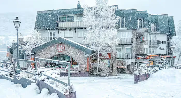 Hotel Llop Gris - 1