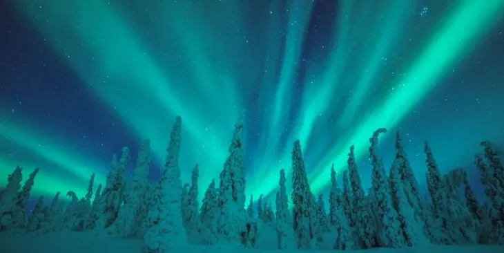 Jeris Lakeside Resort (Santa Break) - 5