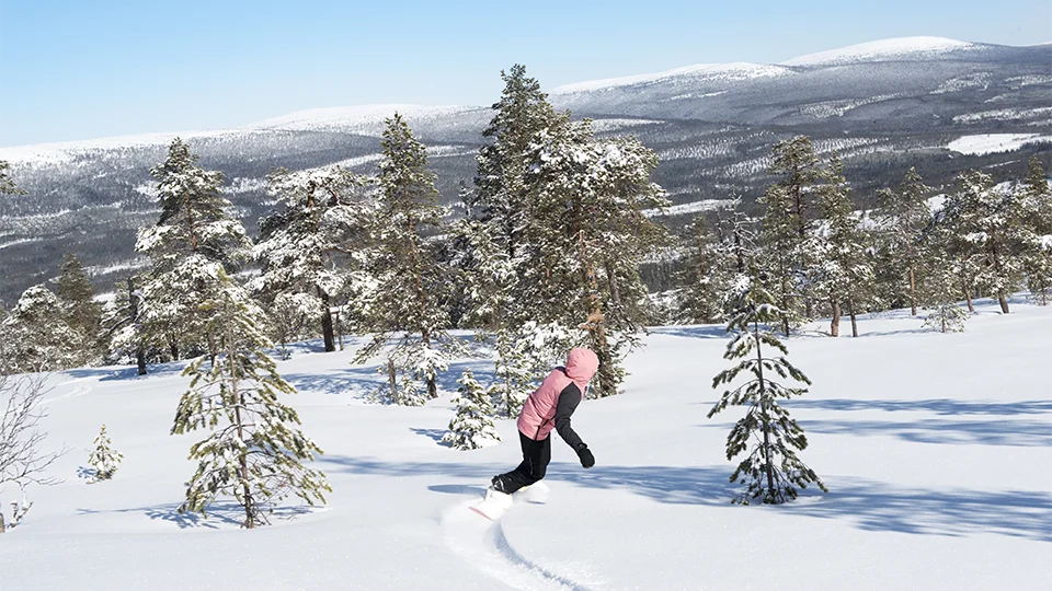 Tree Snowboarding - Stoten Ski Holidays Sweden