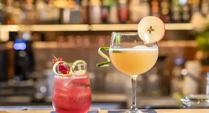 Boutique Hotel Die Alpbacherin - 13