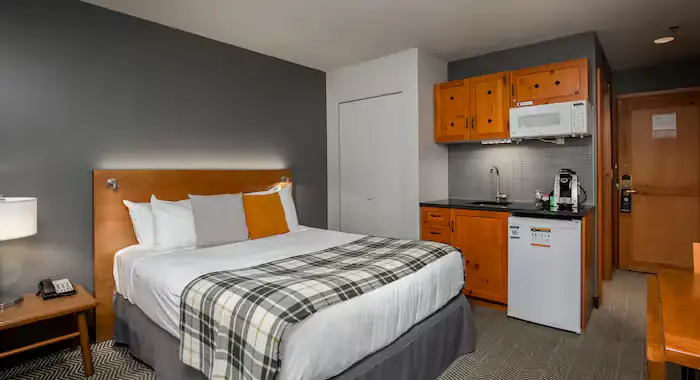 Lodge de la Montagne - 4