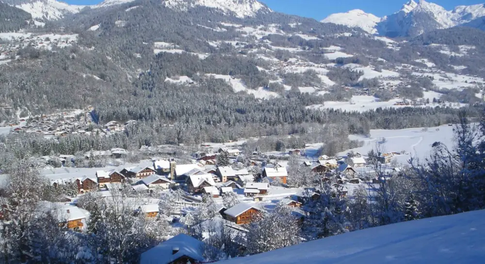 Morillon