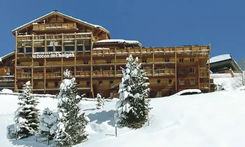 Top 10 Chalet Hotels For Groups