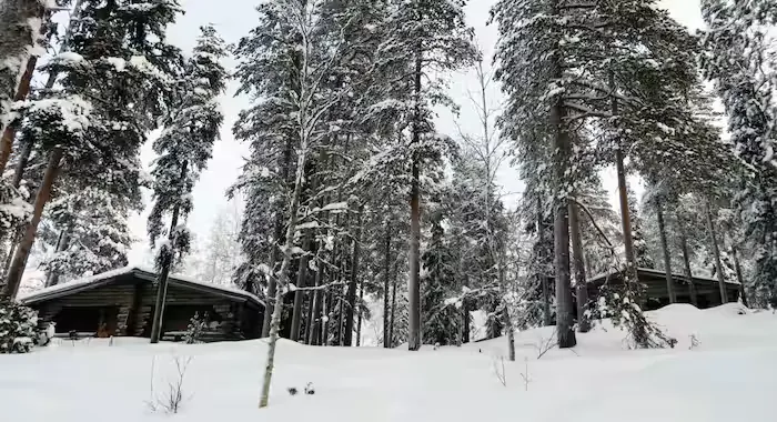 Holiday Club Salla, Kelorinne Log Cabins - 4