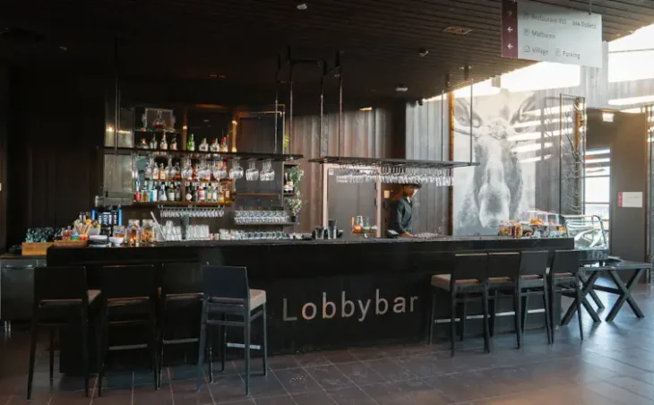 Norefjell Ski & Spa Apartments - 4