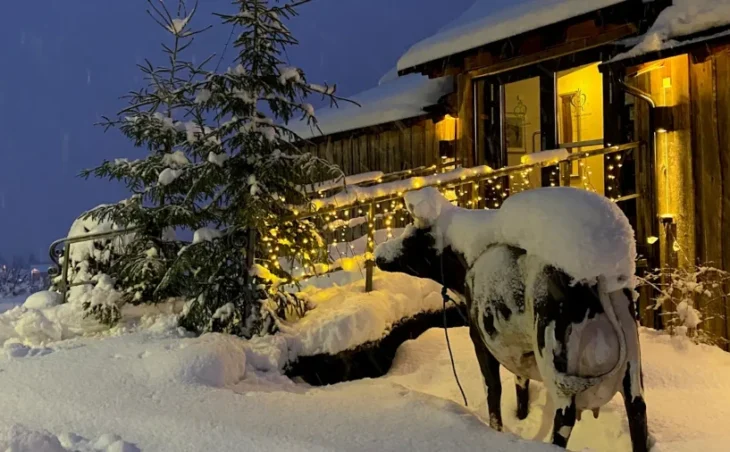 Store Ringheim Hotel - 7