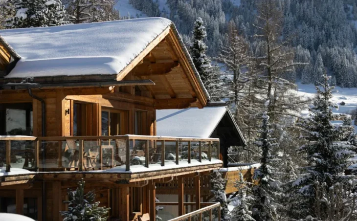 Chalet Les Etrennes - 29