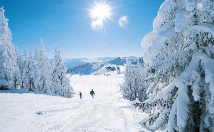 Soll ski holidays : The pistes
