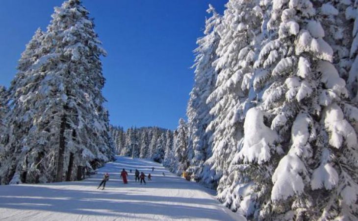 Borovets in mig images , Bulgaria image 1