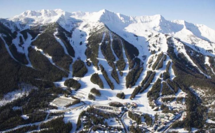 Kicking Horse in mig images , Canada image 8