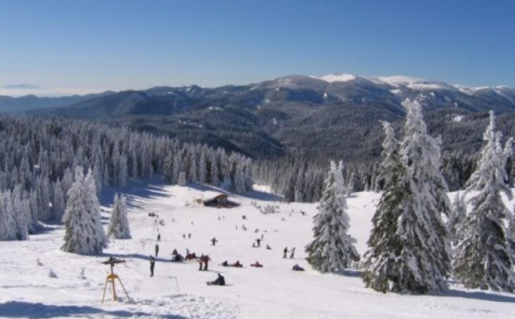 Pamporovo in mig images , Bulgaria image 4