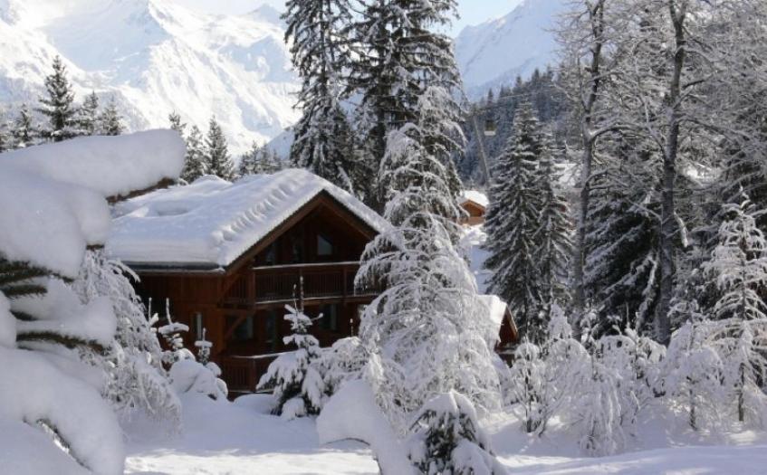 Les Chalets de la Tania in La Tania , France image 1
