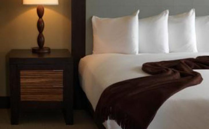 Ski Hotel Terra in Jackson Hole , United States image 7